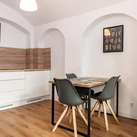 아파트 Gewoelbewohnung Mit Terrasse 드레스덴