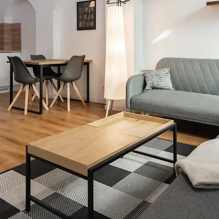 Gewoelbewohnung Mit Terrasse Drážďany
