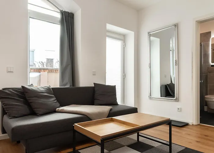 Gewoelbewohnung Mit Terrasse Apartment Dresden