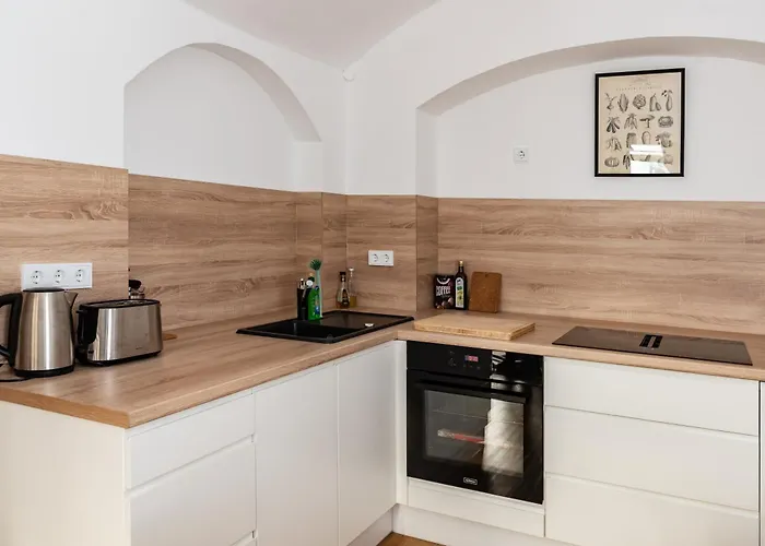 Gewoelbewohnung Mit Terrasse Dresden