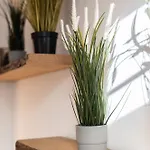 Gewoelbewohnung Mit Terrasse ドレスデン
