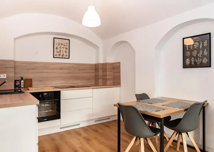 Lägenhet Gewoelbewohnung Mit Terrasse Dresden
