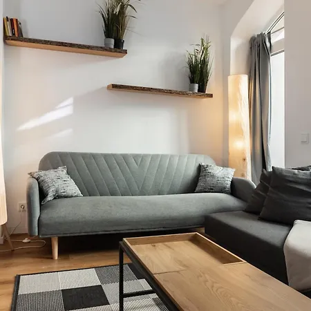 アパート Gewoelbewohnung Mit Terrasse ドレスデン