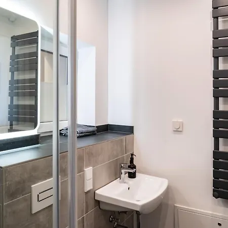 Gewoelbewohnung Mit Terrasse * ドレスデン