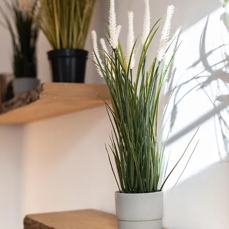 Gewoelbewohnung Mit Terrasse ドレスデン