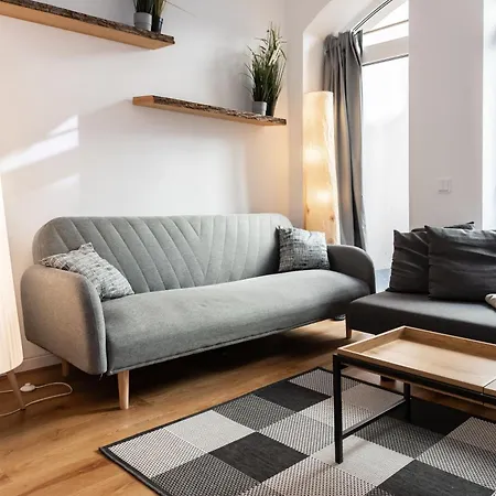Gewoelbewohnung Mit Terrasse دريسدن