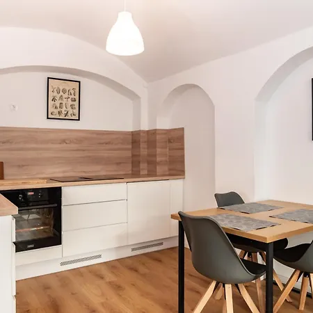 شقة Gewoelbewohnung Mit Terrasse دريسدن